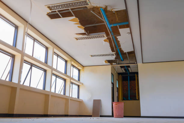 Best Water damage cleanup near me  in Duarte, CA