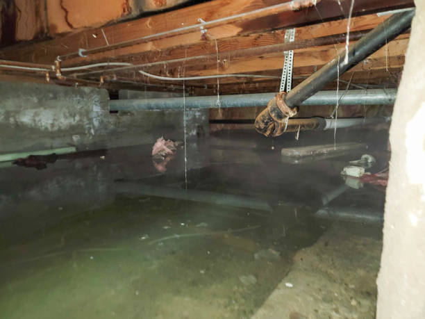 Best Basement water damage restoration  in Duarte, CA