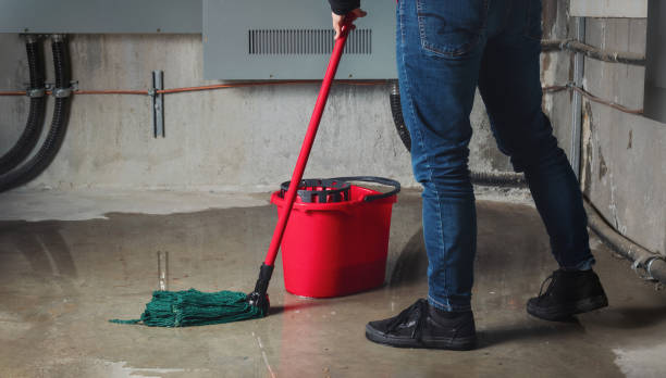 Best Ceiling water damage repair  in Duarte, CA