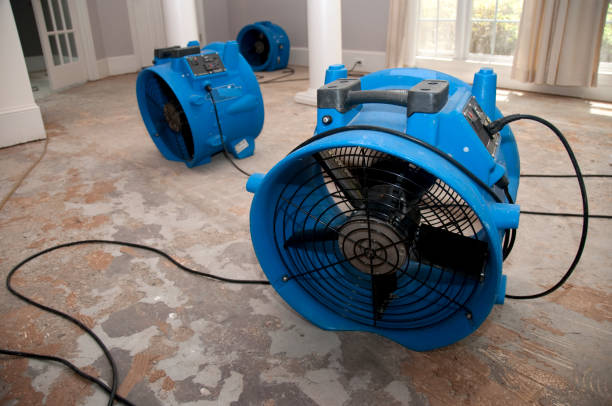 Best Local water damage restoration  in Duarte, CA