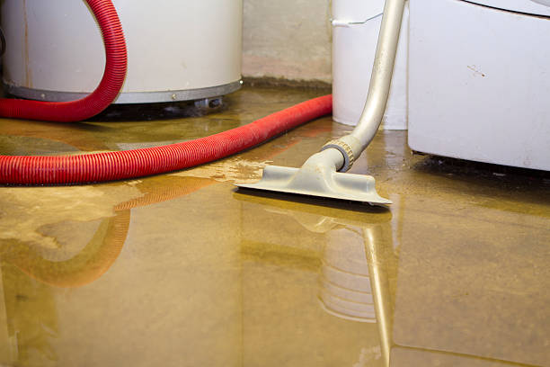 Best Carpet water damage restoration  in Duarte, CA