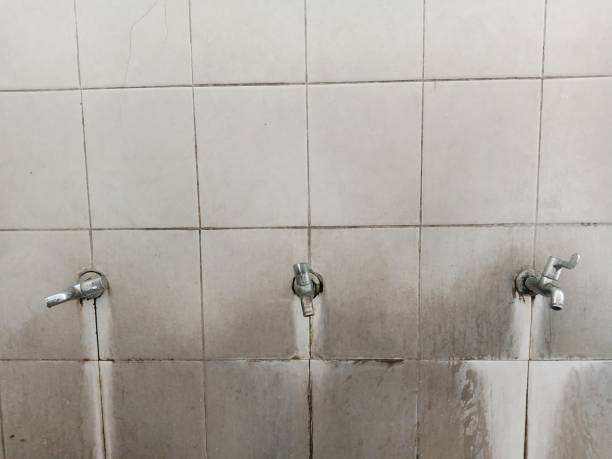 Best Commercial water damage restoration  in Duarte, CA