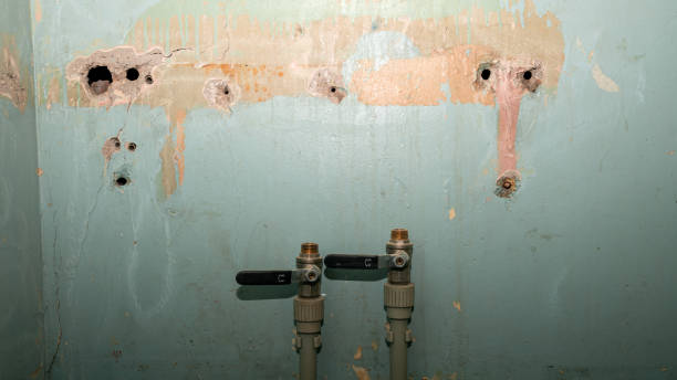 Best Mold removal after water damage  in Duarte, CA