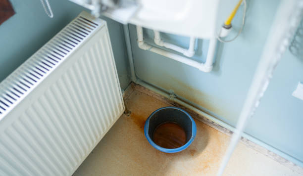 Best Water damage restoration process  in Duarte, CA