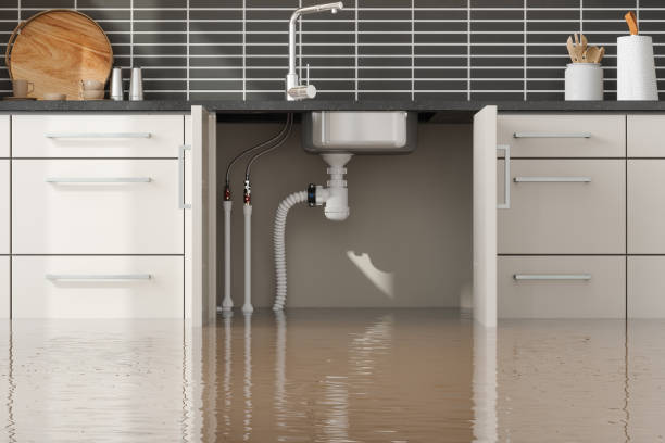 Best Flood damage cleanup  in Duarte, CA