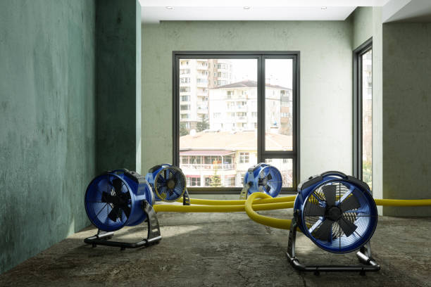 Best 24-hour water damage restoration  in Duarte, CA